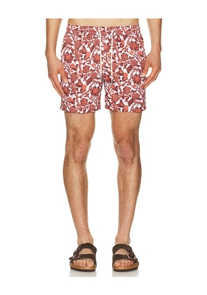 Arrels Barcelona Kabak x Lazaro Rosa Violan Classic Swim Shorts in Red in Red. Size S. Also in M, L, XL/1X.