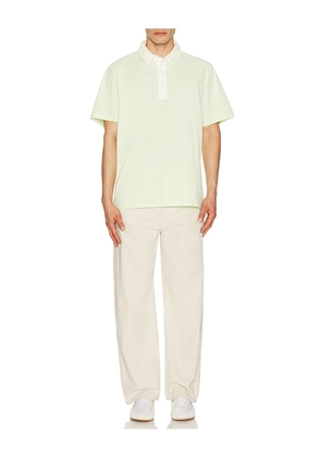 HEAD Golf Signature Polo in Sage. Size S. Also in L, M, XL/1X.