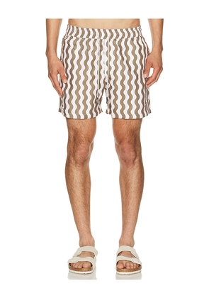 OAS Fine Waver Swim Shorts in Cream,Olive. Size S. Also in M, L, XL/1X.