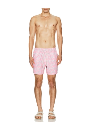 OAS Pink Octo Swim Shorts in Pink. Size S. Also in M, L, XL/1X.