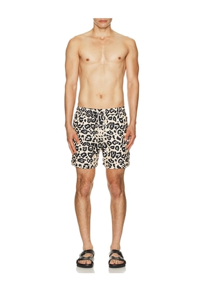 OAS Leo Swim Shorts in Tan. Size S. Also in M, L, XL/1X.