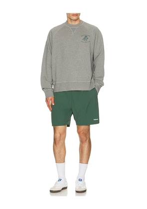 Palmes Stitch Tennis Shorts in Green. Size L. Also in M, XL/1X.