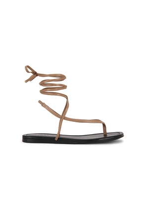 RAYE Aditi Sandal in Taupe. Size 5.5. Also in 6, 6.5, 7, 7.5, 8, 8.5, 9, 9.5, 10.