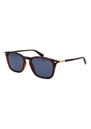 Polaroid Brown Polycarbonate Sunglasses