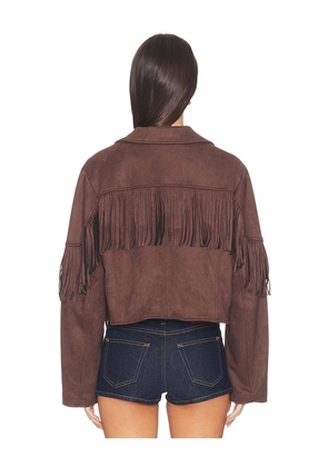 MORE TO COME Baylor Fringe Faux Suede Jacket in Brown. Size S. Also in XXS, XS, M, L, XL.