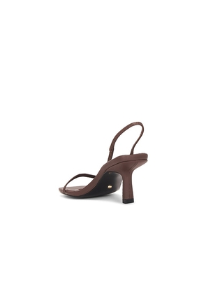 RAYE Linz Sandal in Brown. Size 8. Also in 6, 6.5, 7, 7.5, 8.5, 9, 9.5.