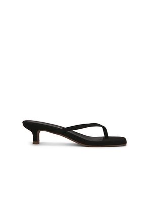 TKEES Julia Square Toe Suede Flip Flop in Black. Size 10. Also in 6, 7, 8, 9.