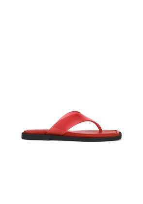 Rag & Bone Gracie Jelly Thong in Red. Size 36. Also in 37, 38, 39, 40, 41.
