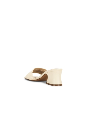 Steve Madden Frolic Sandal in Neutral. Size 6. Also in 6.5, 7, 7.5, 8, 8.5, 9, 9.5, 10.