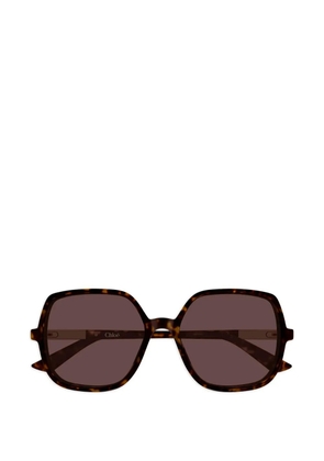 Chloé Eyewear Judy oversized-frame sunglasses - Brown