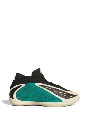 adidas Anthony Edwards 2 lace up sneakers - Black