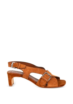 Elena Iachi croc-effect buckled sandals - Brown