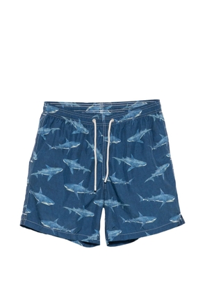 MC2 Saint Barth shark-print swim shorts - Blue