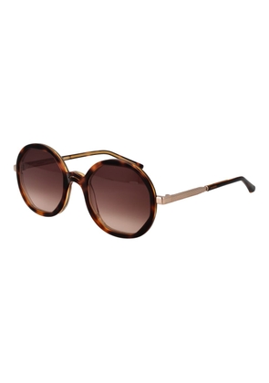Sandro Brown Acetate Sunglasses