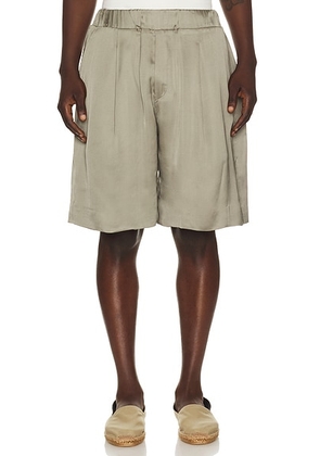 Sanea Collection Niran Shorts in Khaki - Grey. Size XL/1X (also in S, M, L).