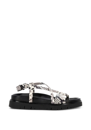 PATRIZIA BONFANTI snakeskin-effect buckled sandals - Grey
