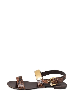 Giuseppe Zanotti python leather flat sandals - Brown