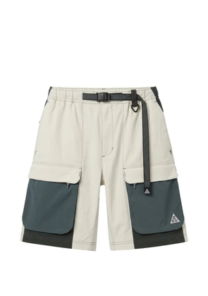 Nike Smith Summit cargo shorts - Neutrals