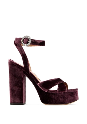 Sam Edelman Savannah Glow crystal-buckle velvet sandals - Purple