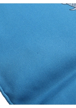 Hermès Pre-Owned 2010s Escales Méditerranéennes scarf - Blue
