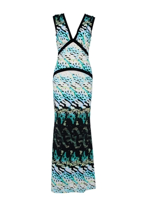 Roberto Cavalli pre-owned V-neck maxi dress - Blue