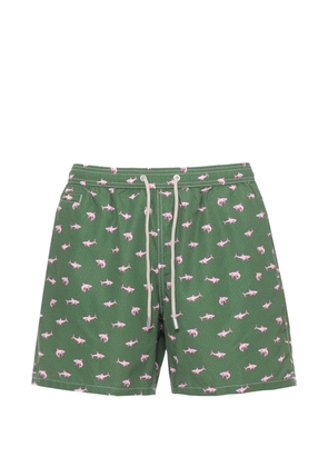 MC2 Saint Barth shark-print drawstring swim shorts - Green