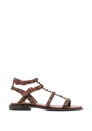 Ash Pacha stud-embellished sandals - Brown
