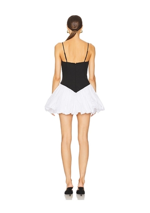 Bardot x REVOLVE Lissett Poplin Mini Dress in Black,White. Size 2. Also in 4.