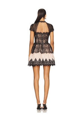 Bronx and Banco Daphne Mini Dress in Black,Pink. Size M. Also in L.