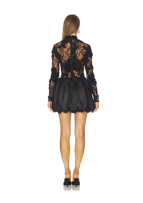 AKNVAS Jette Black Cocktail Dress Lace And Bubble Skirt in Black. Size 0. Also in 10, 2, 6.