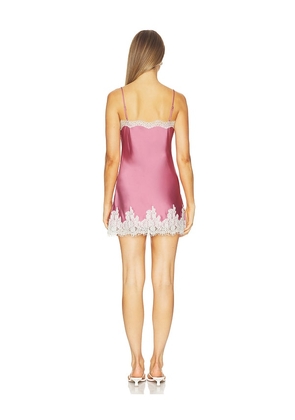 Elodie the Label Ellie Mini Dress in Rose. Size S. Also in M, L.