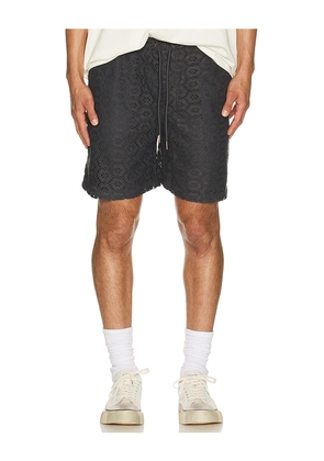 Honor The Gift Crochet Shorts in Black. Size S. Also in M.