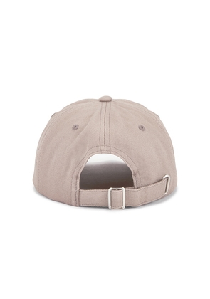 Favorite Daughter The Collegiate Logo Baseball Cap in Taupe.