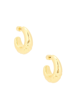 Jenny Bird Slim Nelle Hoops in Metallic Gold.