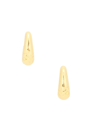 Jenny Bird Slim Nelle Hoops in Metallic Gold.