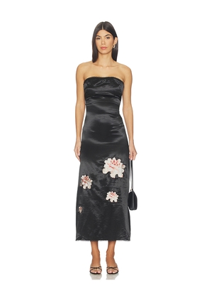 OperaSPORT Maya Dress in Black. Size XXS. Also in XS, S, M.