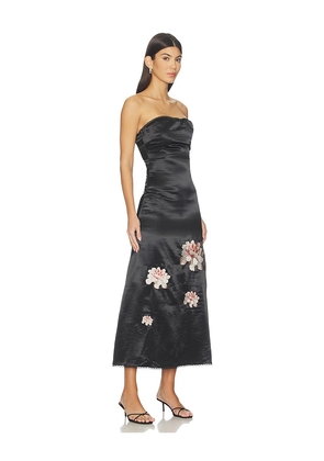 OperaSPORT Maya Dress in Black. Size XXS. Also in L, M, S, XS.