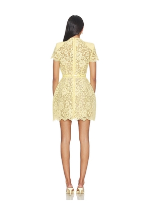 Nadine Merabi Milly Dress in Lemon. Size 2/XS. Also in 10/L, 12/XL.