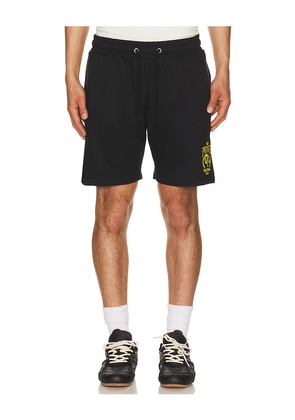 Prince Tennis Brushed Fleece Short in Black. Size M. Also in S, L, XL/1X.
