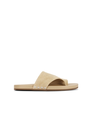 Steve Madden Kessey Sandal in Tan. Size 6. Also in 6.5, 7, 7.5, 8, 8.5, 9, 9.5, 10.