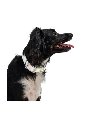 Wild One Lunar Collar in Blue.