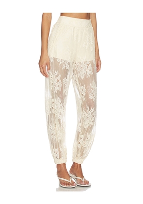 Steve Madden Faya Pant in Cream. Size XS. Also in S, M, L, XL.