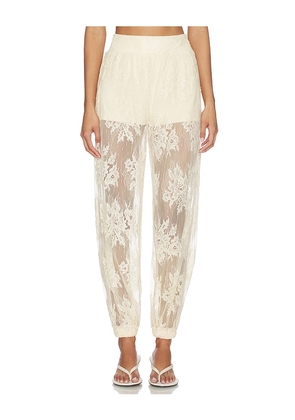 Steve Madden Faya Pant in Cream. Size XS. Also in S, L, XL.