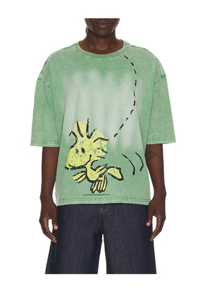 Vintage Heavy x Peanuts Woodstock Tee in Sage. Size S. Also in M, L, XL/1X.
