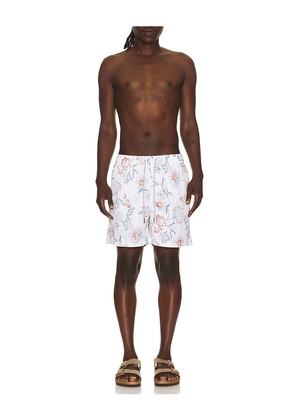 Vintage Summer Ponji Swim Volleys in Ivory. Size S. Also in M, L, XL/1X, XXL/2X.