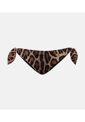 Dolce&Gabbana Leopard-print bikini bottoms