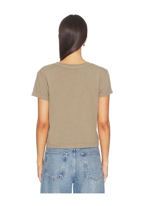 AGOLDE Adine Tee Shrunken Tee in Brown. Size XS. Also in S, M, L, XL.