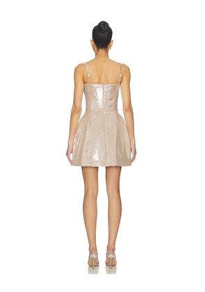 Nadine Merabi Leyton Dress in Pink. Size 2/XS. Also in 4/S, 6/SM, 12/XL.