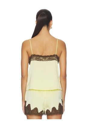 MADISON THE LABEL Olesya Top in Yellow. Size XS. Also in S, M.