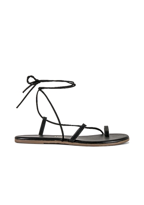 TKEES Jo Sandal in Black. Size 6. Also in 7, 8, 9, 10, 11.
